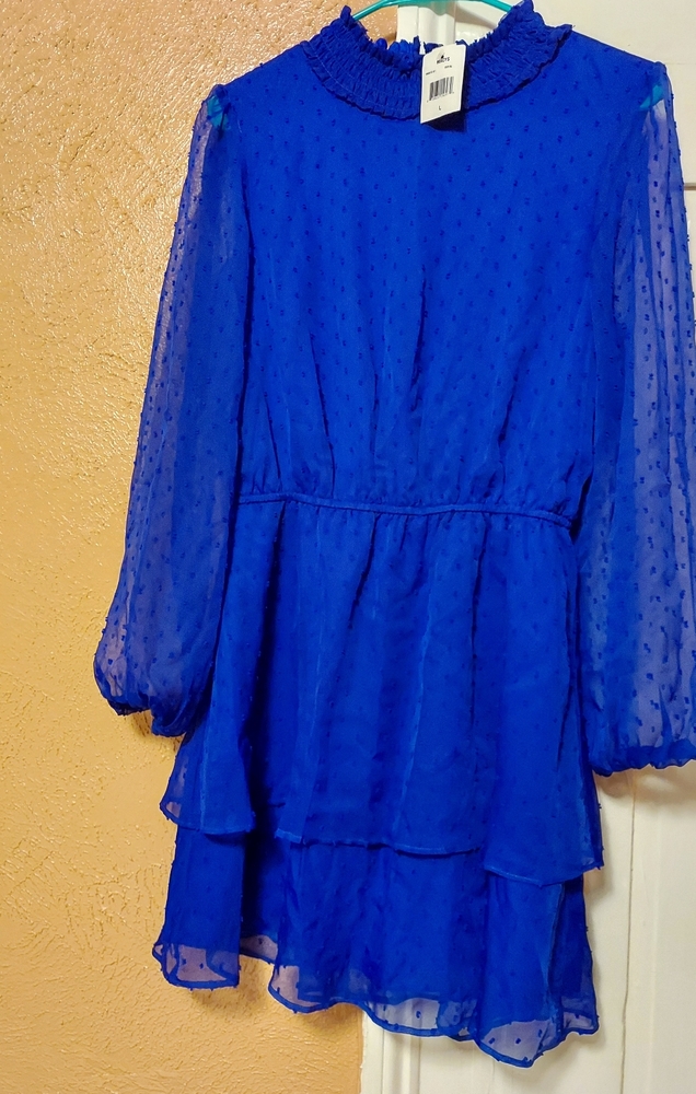 A blue Short dress